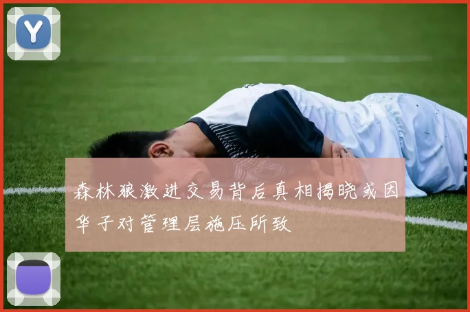 森林狼激进交易背后真相揭晓或因华子对管理层施压所致