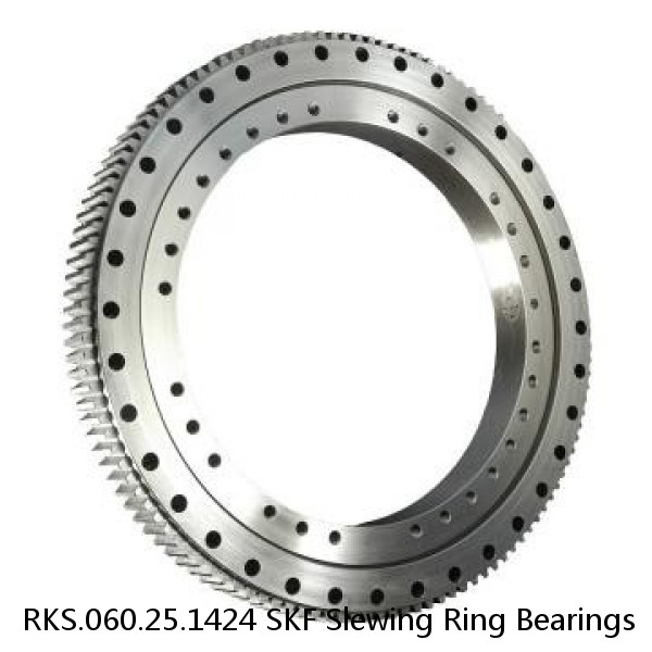 RKS.060.25.1424 SKF Slewing Ring Bearings