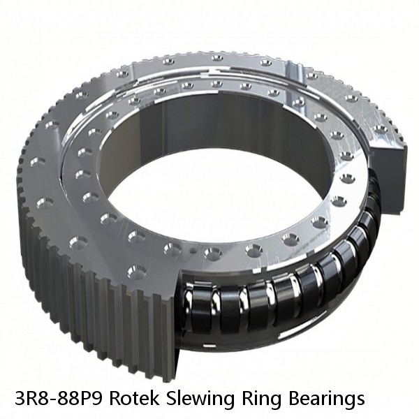 3R8-88P9 Rotek Slewing Ring Bearings