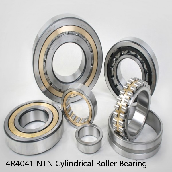 4R4041 NTN Cylindrical Roller Bearing