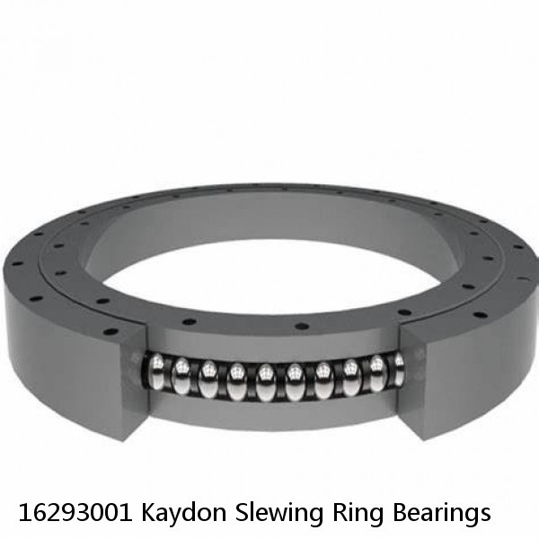 16293001 Kaydon Slewing Ring Bearings