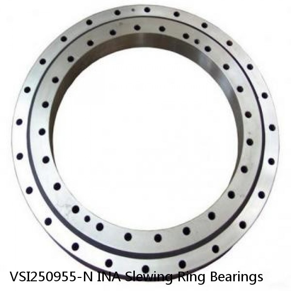 VSI250955-N INA Slewing Ring Bearings