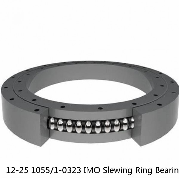 12-25 1055/1-0323 IMO Slewing Ring Bearings