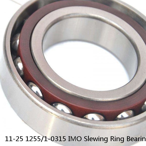 11-25 1255/1-0315 IMO Slewing Ring Bearings