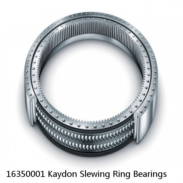 16350001 Kaydon Slewing Ring Bearings