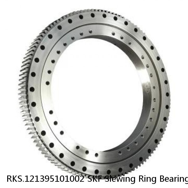 RKS.121395101002 SKF Slewing Ring Bearings