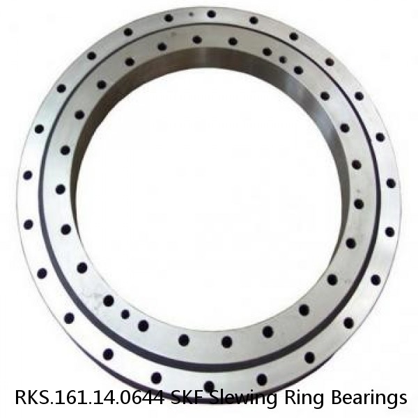 RKS.161.14.0644 SKF Slewing Ring Bearings