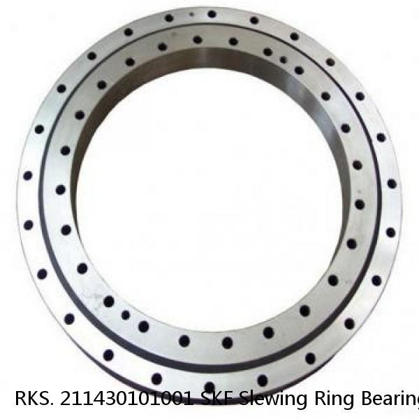 RKS. 211430101001 SKF Slewing Ring Bearings