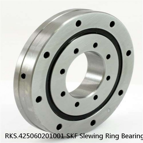 RKS.425060201001 SKF Slewing Ring Bearings