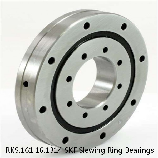 RKS.161.16.1314 SKF Slewing Ring Bearings