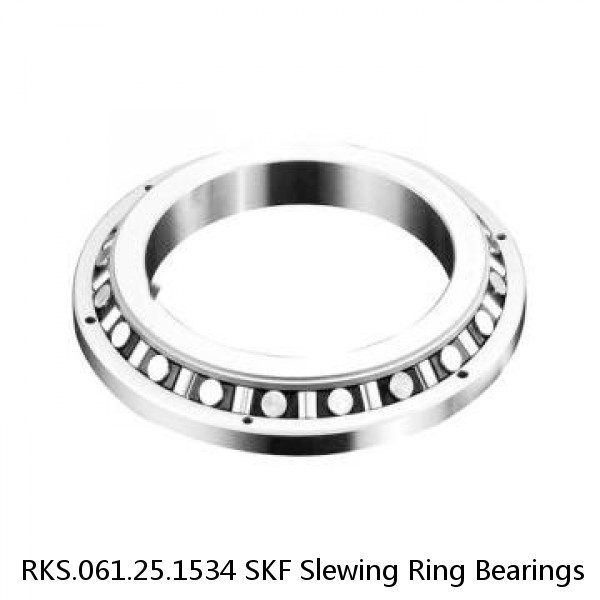 RKS.061.25.1534 SKF Slewing Ring Bearings