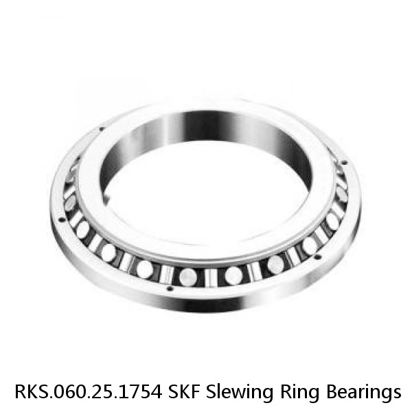 RKS.060.25.1754 SKF Slewing Ring Bearings