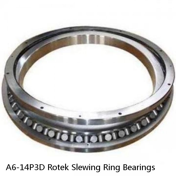 A6-14P3D Rotek Slewing Ring Bearings