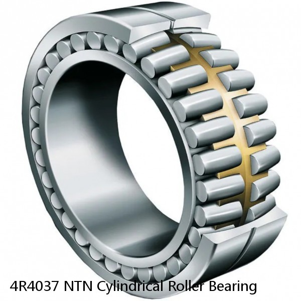 4R4037 NTN Cylindrical Roller Bearing