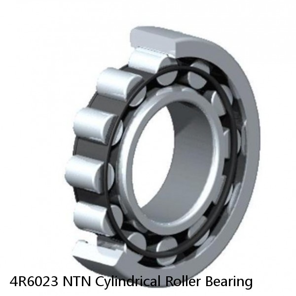 4R6023 NTN Cylindrical Roller Bearing