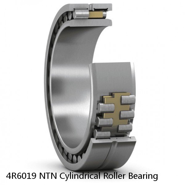 4R6019 NTN Cylindrical Roller Bearing