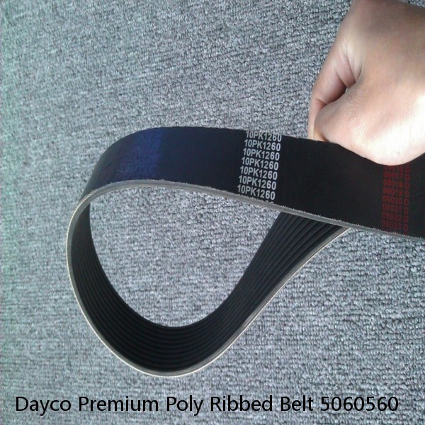 Dayco Premium Poly Ribbed Belt 5060560 