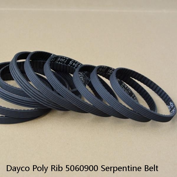 Dayco Poly Rib 5060900 Serpentine Belt