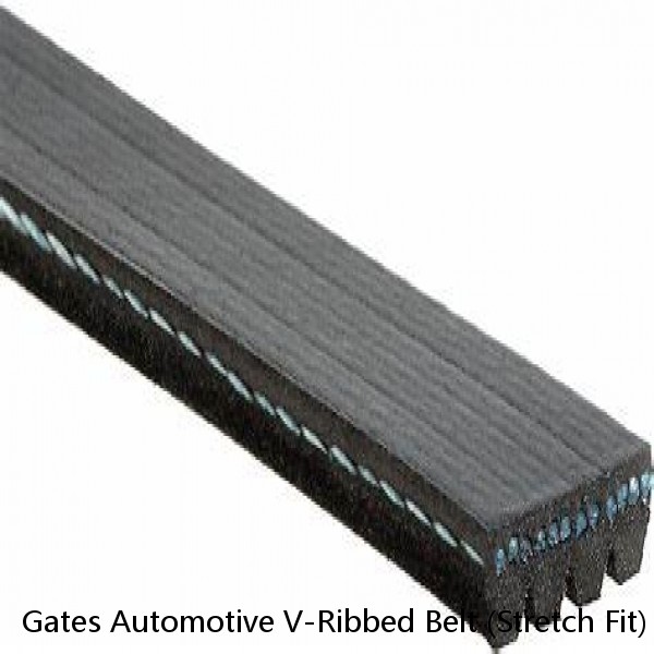 Gates Automotive V-Ribbed Belt (Stretch Fit) K040317SF Fits:SUBARU 2008 - 2010